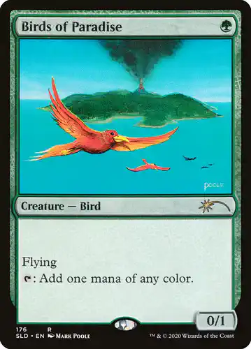 Birds of Paradise - sld Spoiler
