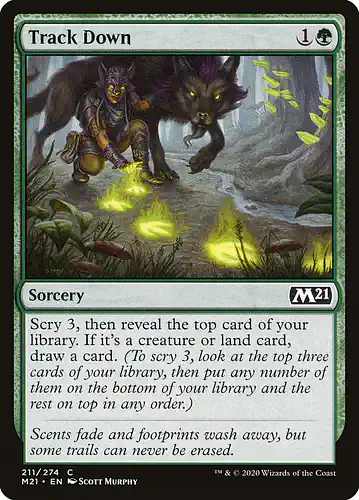 Track Down - m21 Spoiler