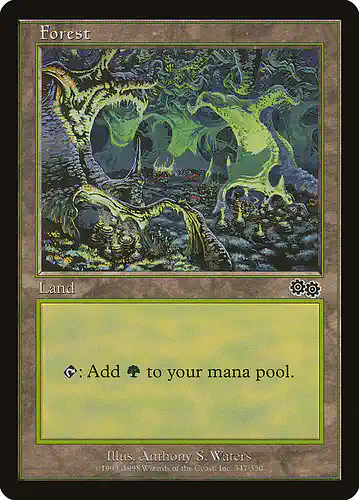 Forest - usg Spoiler