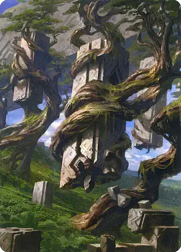 Forest - znr Spoiler