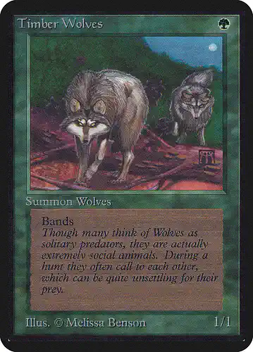 Timber Wolves - lea Spoiler