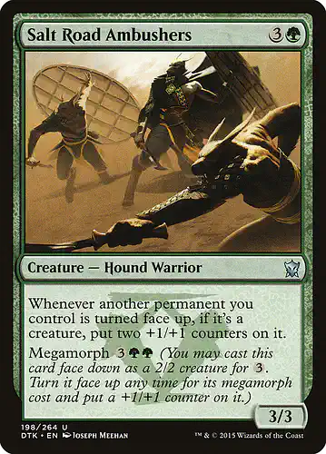 Salt Road Ambushers - dtk Spoiler