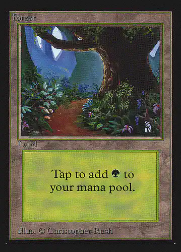 Forest - ced Spoiler