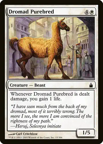 Dromad Purebred - rav Spoiler
