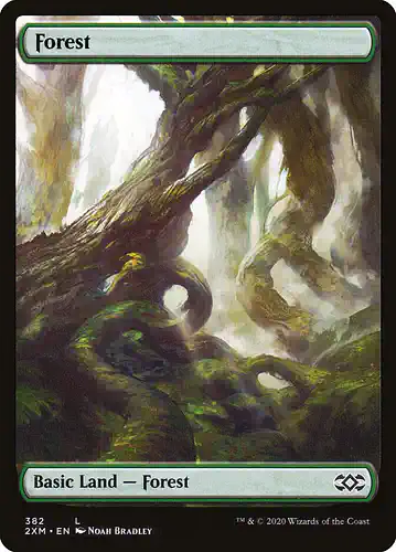 Forest - 2xm Spoiler