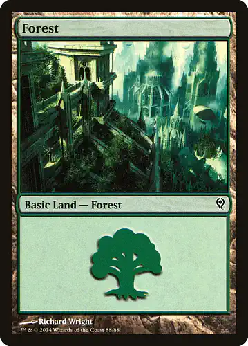 Forest - ddm Spoiler