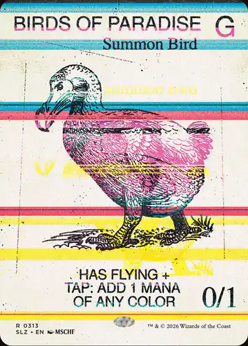 Birds of Paradise - slz Spoiler