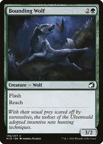 Bounding Wolf - mid Spoiler