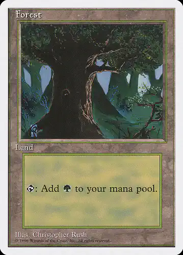 Forest - itp Spoiler