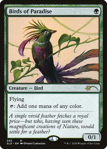 Birds of Paradise - sld Spoiler