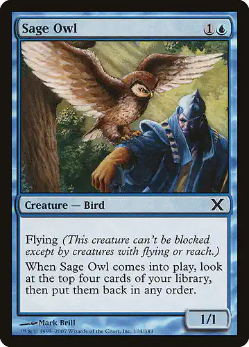 Sage Owl - 10e Spoiler