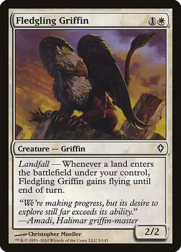 Fledgling Griffin - wwk Spoiler
