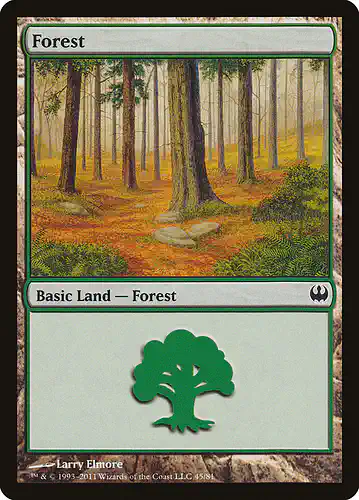 Forest - ddg Spoiler