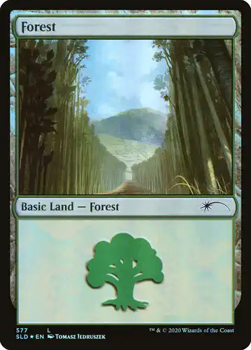 Forest - sld Spoiler
