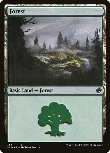 Forest - scd Spoiler