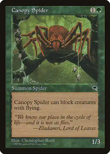 Canopy Spider - tmp Spoiler