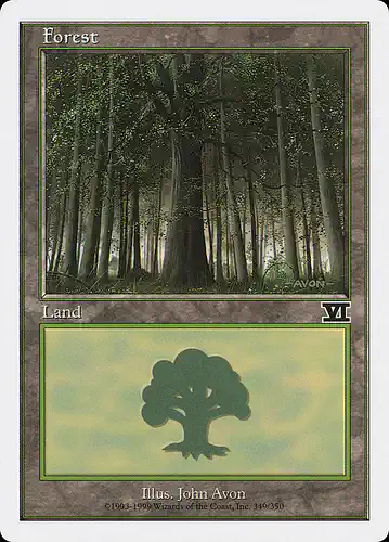 Forest - 6ed Spoiler