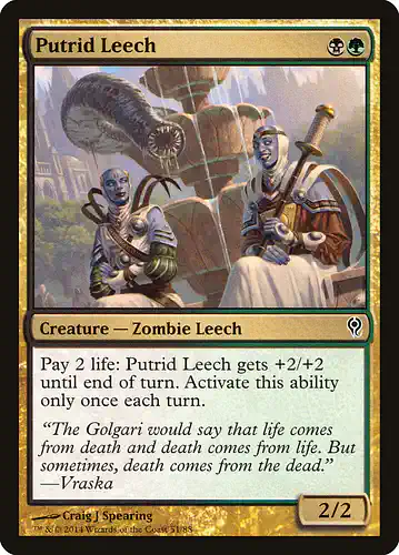 Putrid Leech - ddm Spoiler