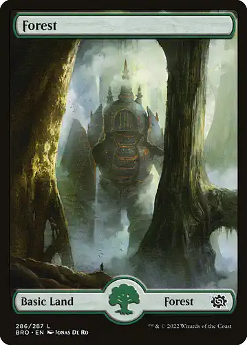Forest - bro Spoiler