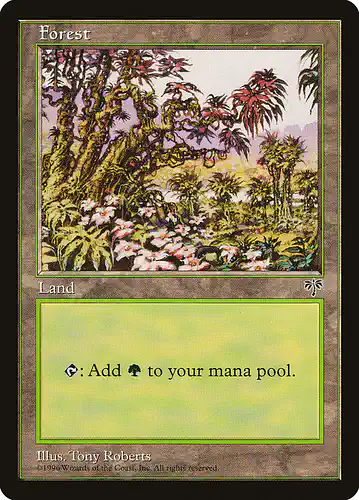 Forest - mir Spoiler