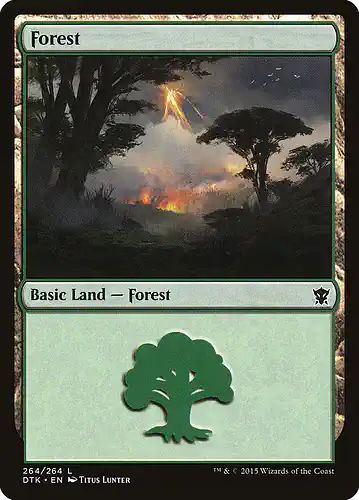 Forest - dtk Spoiler