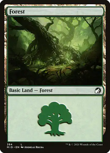Forest - mid Spoiler