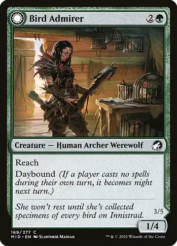 Bird Admirer - mid Spoiler