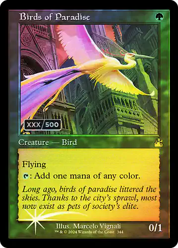 Birds of Paradise - rvr Spoiler