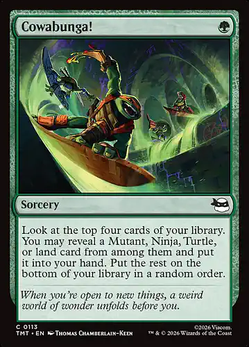 Cowabunga! - tmt Spoiler