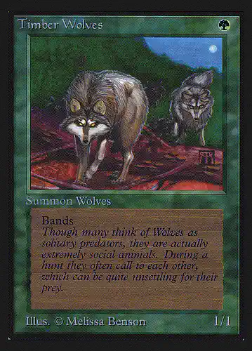 Timber Wolves - cei Spoiler