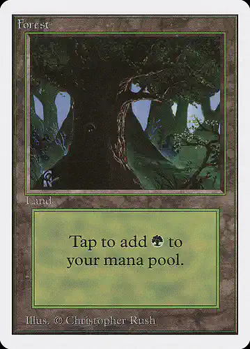 Forest - 2ed Spoiler