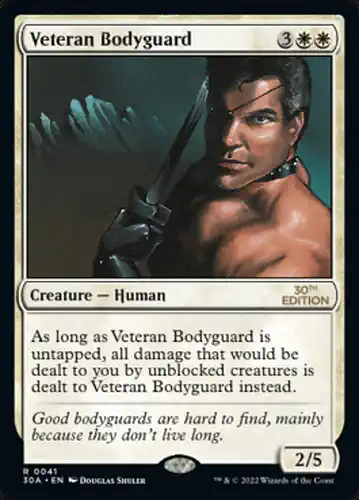 Veteran Bodyguard - 30a Spoiler