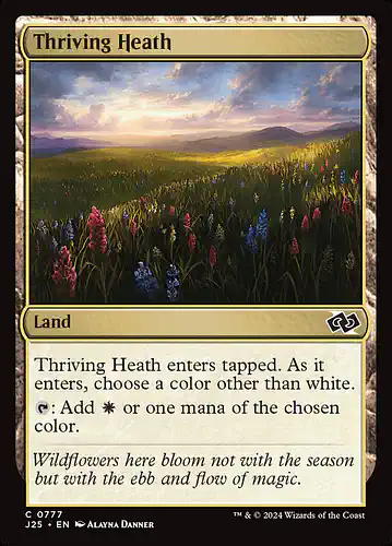Thriving Heath - j25 Spoiler