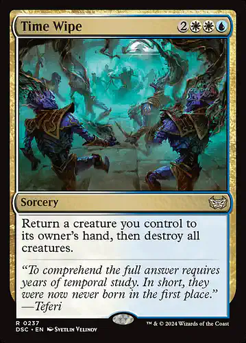 Time Wipe - dsc Spoiler