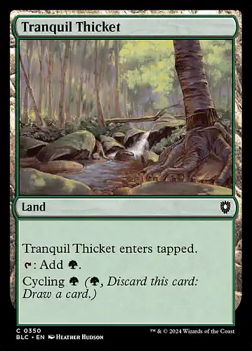 Tranquil Thicket - blc Spoiler