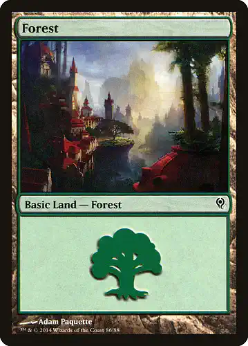Forest - ddm Spoiler
