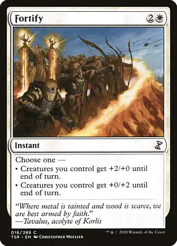Fortify - tsr Spoiler
