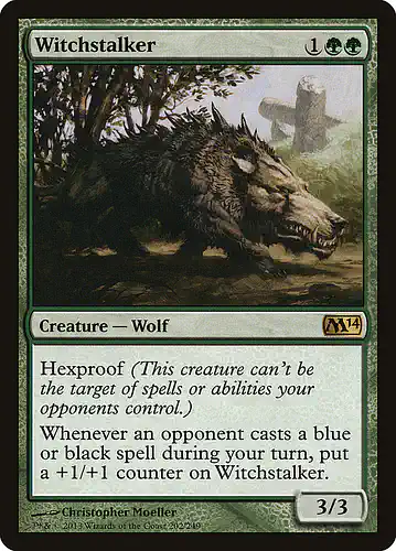 Witchstalker - m14 Spoiler