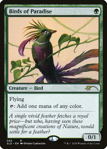 Birds of Paradise - sld Spoiler