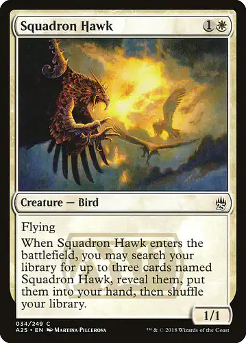 Squadron Hawk - a25 Spoiler