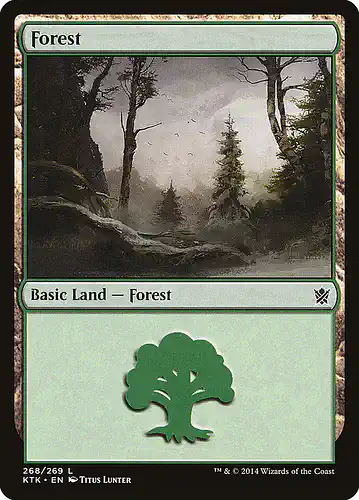 Forest - ktk Spoiler