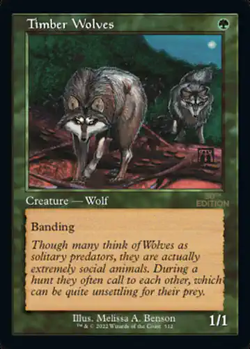 Timber Wolves - 30a Spoiler