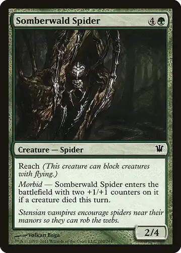 Somberwald Spider - isd Spoiler