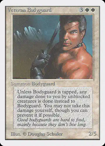 Veteran Bodyguard - 2ed Spoiler