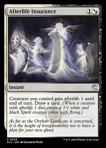 Afterlife Insurance - clu Spoiler