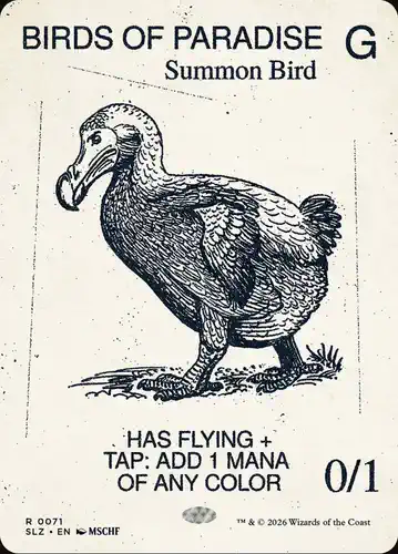 Birds of Paradise - slz Spoiler