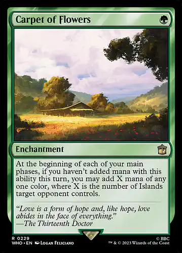 Carpet of Flowers - who Spoiler