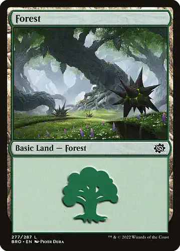 Forest - bro Spoiler