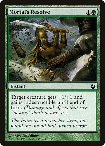 Mortal's Resolve - bng Spoiler