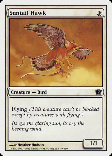 Suntail Hawk - 9ed Spoiler